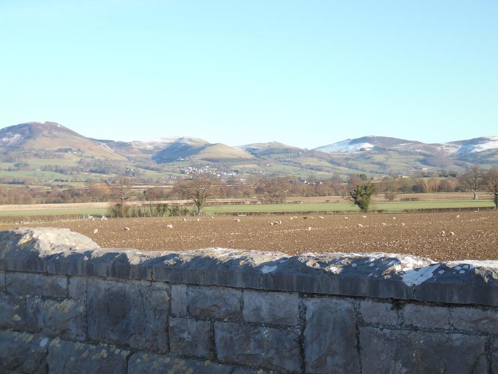 Granary At Tyddyn Isaf Villa Ruthin Exteriör bild