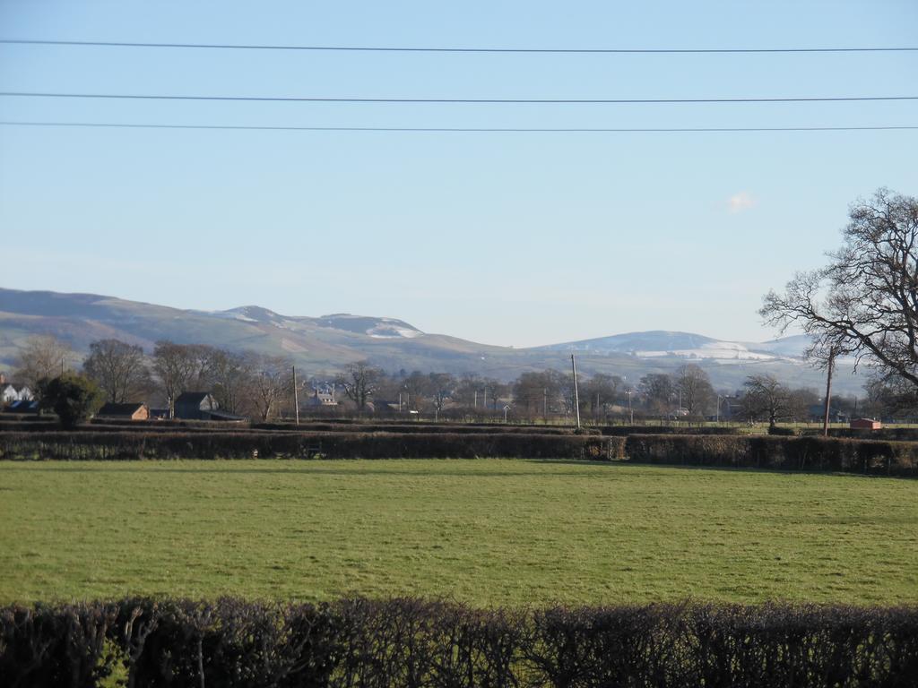 Granary At Tyddyn Isaf Villa Ruthin Exteriör bild